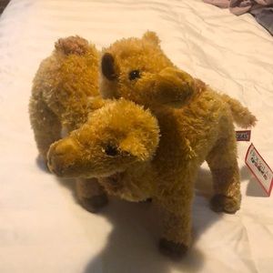 Bundle Alert💎 3 for $12: 
Pair of “Kissing Camels” (Garden of the Gods, CO)